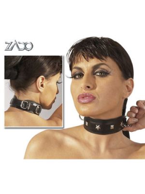 Padded Leather Collar