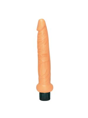 Rectitude Anal Vibrator