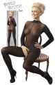 Long Sleeve Sheer Mesh Catsuit