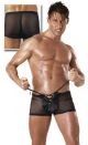 Male Mesh Boxers