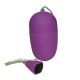 Purple Vibrating Bullet