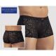 Transparent Brief