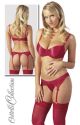 Red Shiny Satin Bra Set