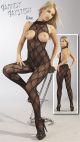 Crotchless Halterneck Lace Catsuit
