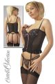 Corset And Sexy Thong