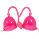Double Breast Developer Pump