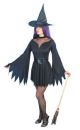 Sexy Witch Costume