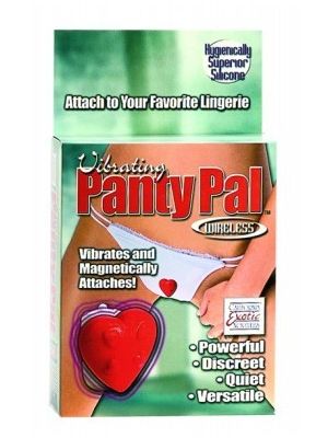 vibrating panty pal Vibrating Panties 10-Function Wireless Remote Control Rechargeable Underwear main image 0